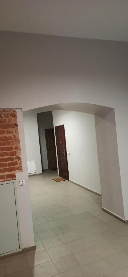 Studio Flat In A Historical XIX C. Building. Κάουνας Εξωτερικό φωτογραφία